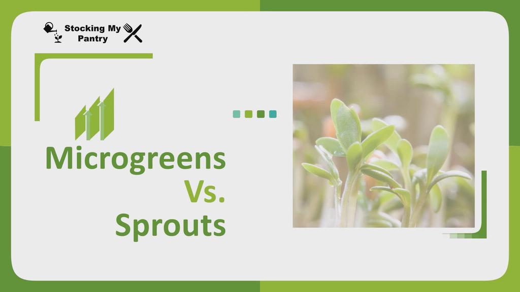 'Video thumbnail for Sprouts Vs. Microgreens | Which One is Best?'