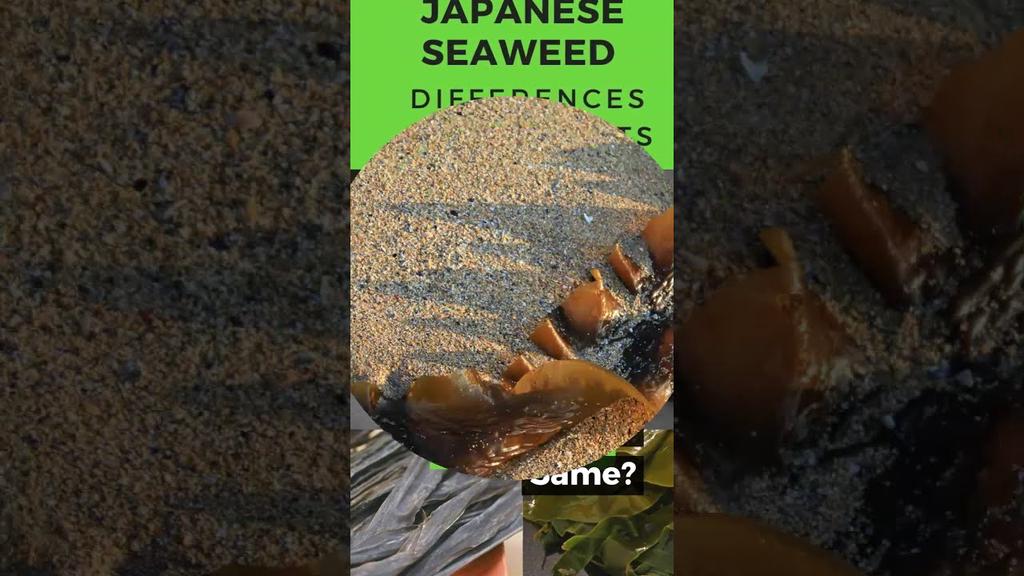'Video thumbnail for Difference between kombu, wakame & kelp seaweed #shorts'