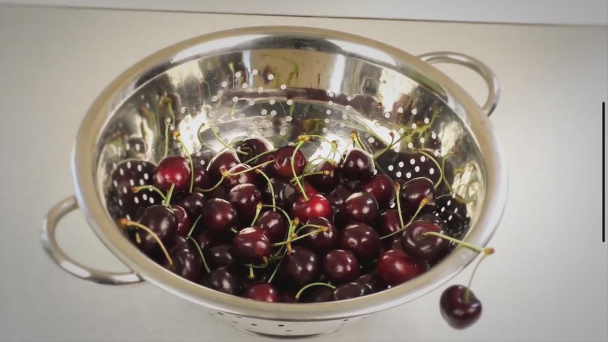 'Video thumbnail for How To Plant Cherries From Seeds (Step-By-Step)'