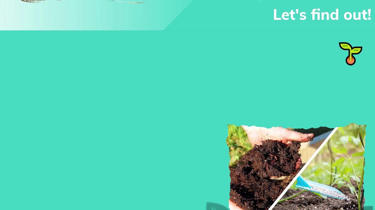 'Video thumbnail for Organic vs Inorganic Fertilizer For Plant'