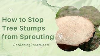 'Video thumbnail for How to Stop Tree Stumps from Sprouting'