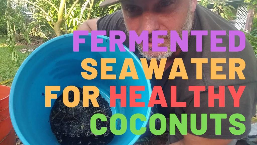 'Video thumbnail for How To Make Fermented Seawater & Grow Coconuts at Higher Elevations'