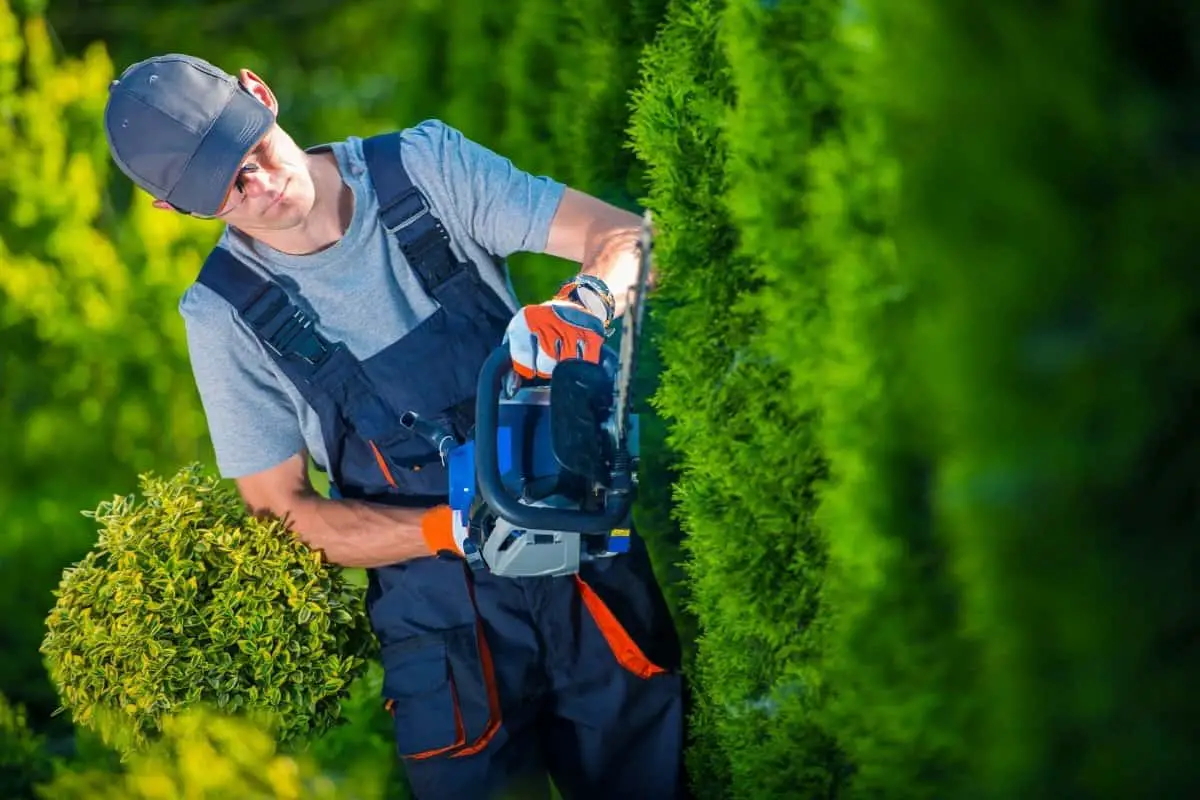 best battery operated hedge trimmer