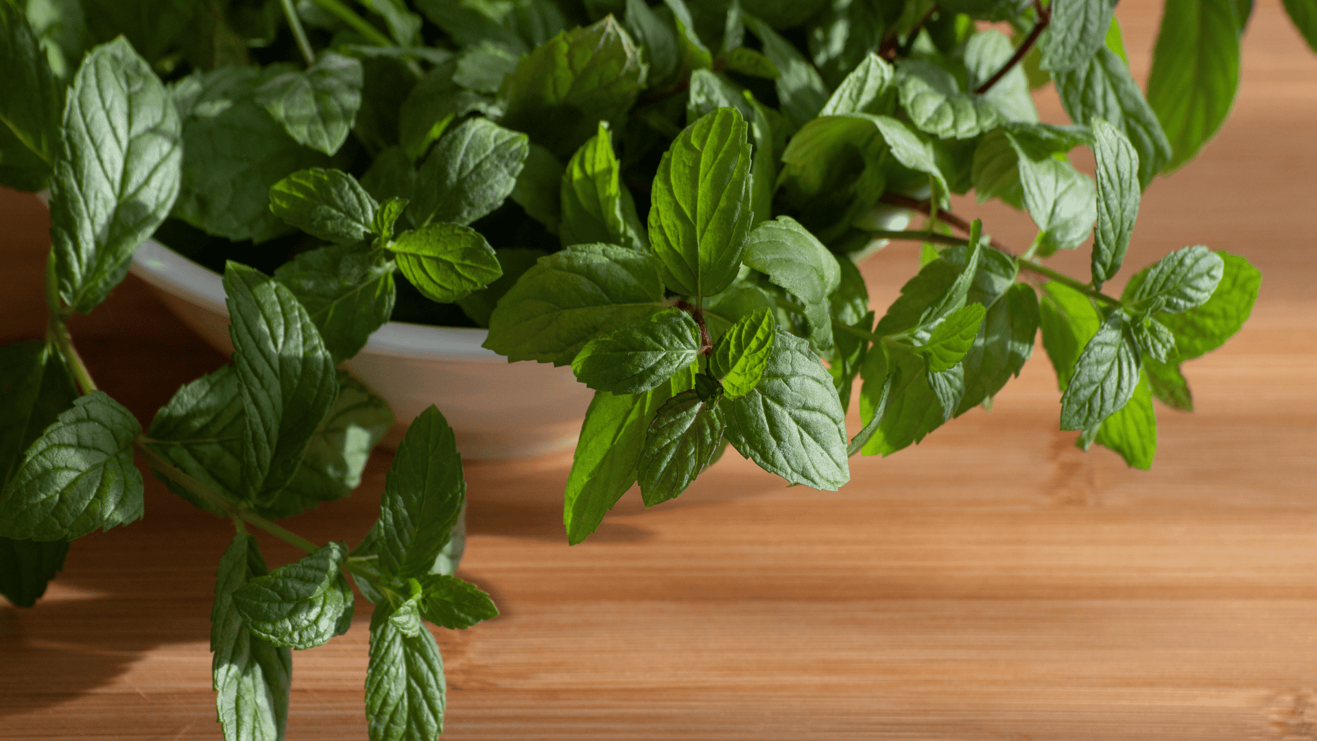 Fresh mint sprigs cascading out of a white bowl onto a wooden countertop.