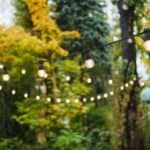 illuminated string lights in lush green garden 2026 03 26 23 39 04 utc