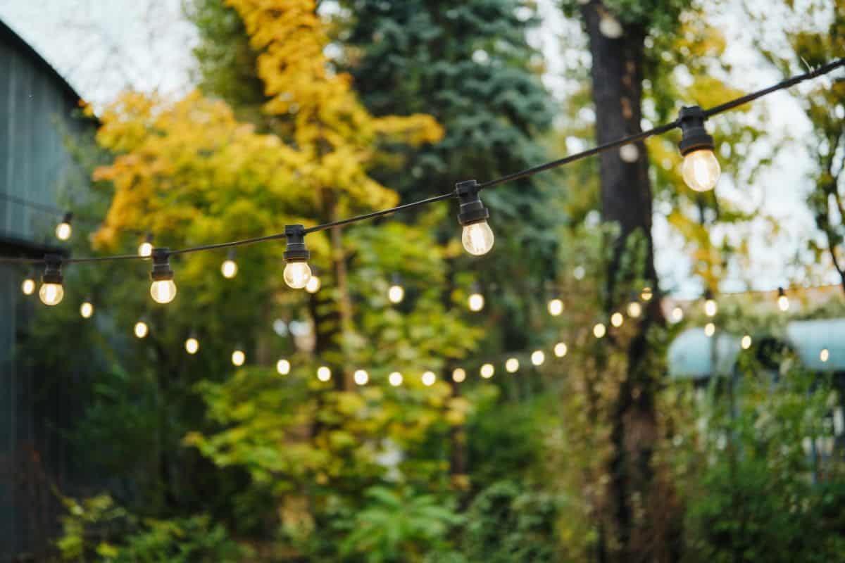 15 Stunning Fall Backyard Garden Designs That Look Expensive on a Budget