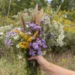 wildflowers 10