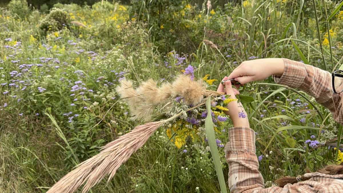 How to Pick Wildflowers for a Bouquet 5 Cutting wildflower stems with a folding pocket knife while holding a gathered bunch